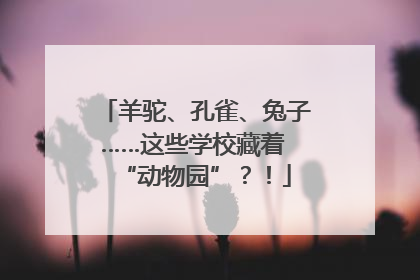 羊驼、孔雀、兔子……这些学校藏着 “动物园”？！