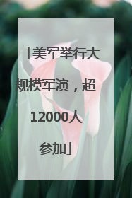 美军举行大规模军演，超12000人参加