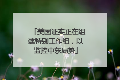 美国证实正在组建特别工作组，以监控中东局势