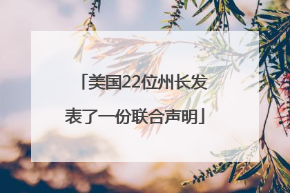 美国22位州长发表了一份联合声明