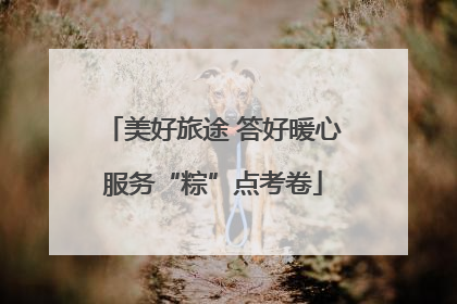 美好旅途 答好暖心服务“粽”点考卷