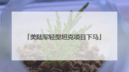 美陆军轻型坦克项目下马