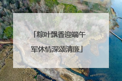 粽叶飘香迎端午 军休情深颂清廉