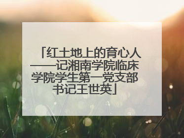红土地上的育心人——记湘南学院临床学院学生第一党支部书记王世英