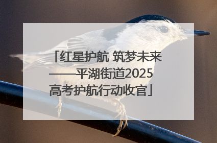 红星护航 筑梦未来——平湖街道2025高考护航行动收官