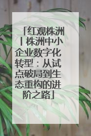 红观株洲丨株洲中小企业数字化转型：从试点破局到生态重构的进阶之路