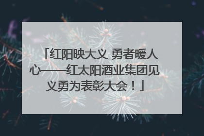 红阳映大义 勇者暖人心——红太阳酒业集团见义勇为表彰大会！