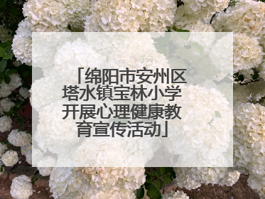 绵阳市安州区塔水镇宝林小学开展心理健康教育宣传活动