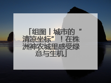 组图丨城市的“清凉坐标”！在株洲神农城里感受绿意与生机