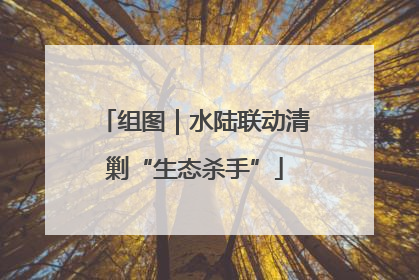 组图｜水陆联动清剿“生态杀手”