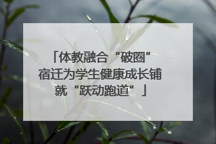 体教融合“破圈” 宿迁为学生健康成长铺就“跃动跑道”