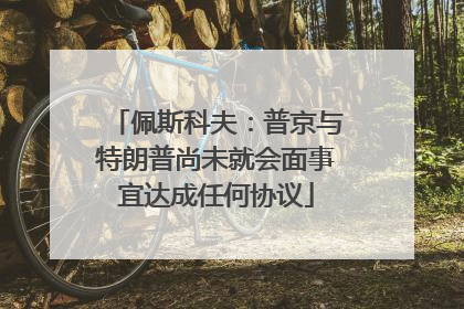 佩斯科夫：普京与特朗普尚未就会面事宜达成任何协议
