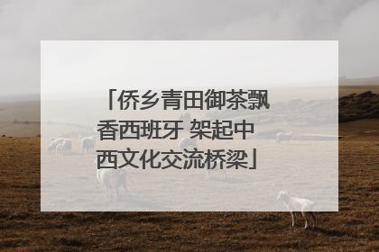 侨乡青田御茶飘香西班牙 架起中西文化交流桥梁