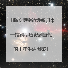 临安博物馆焕新归来 一馆藏尽历史到当代的千年生活图鉴