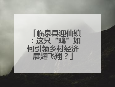 临泉县迎仙镇：这只“鸡”如何引领乡村经济展翅飞翔？