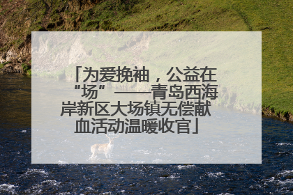 为爱挽袖，公益在“场”——青岛西海岸新区大场镇无偿献血活动温暖收官