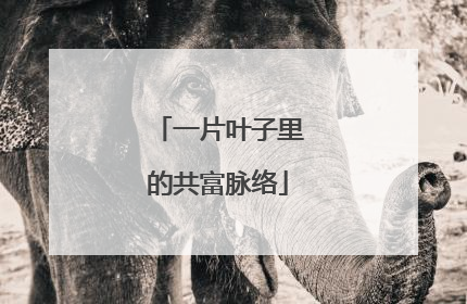 一片叶子里的共富脉络