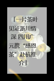 一片茶叶见证浙川情深 四川广元携“感恩茶”赴杭推介