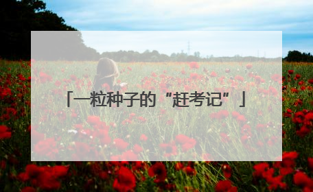 一粒种子的“赶考记”