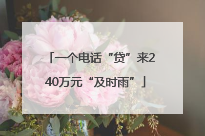 一个电话“贷”来240万元“及时雨”