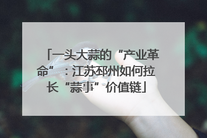一头大蒜的“产业革命”：江苏邳州如何拉长“蒜事”价值链