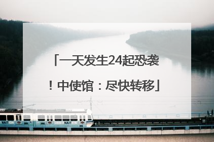 一天发生24起恐袭！中使馆：尽快转移