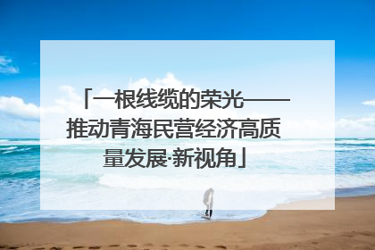 一根线缆的荣光——推动青海民营经济高质量发展·新视角