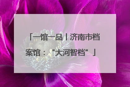 一馆一品丨济南市档案馆：“大河智档”