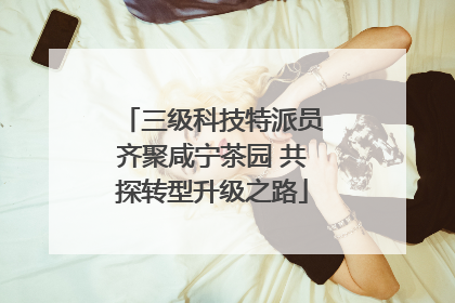 三级科技特派员齐聚咸宁茶园 共探转型升级之路