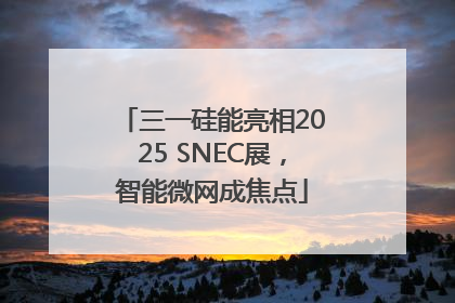 三一硅能亮相2025 SNEC展，智能微网成焦点
