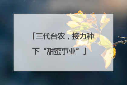 三代台农，接力种下“甜蜜事业”
