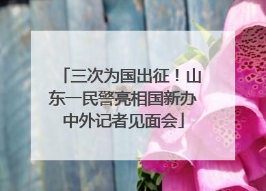 三次为国出征！山东一民警亮相国新办中外记者见面会