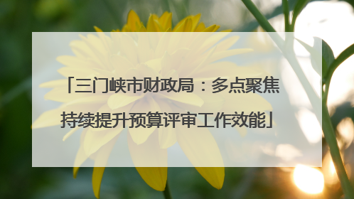 三门峡市财政局：多点聚焦 持续提升预算评审工作效能