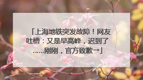 上海地铁突发故障！网友吐槽：又是早高峰，迟到了……刚刚，官方致歉→