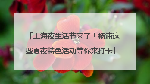 上海夜生活节来了！杨浦这些夏夜特色活动等你来打卡