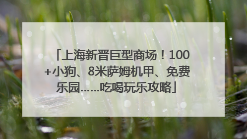 上海新晋巨型商场！100+小狗、8米萨姆机甲、免费乐园……吃喝玩乐攻略