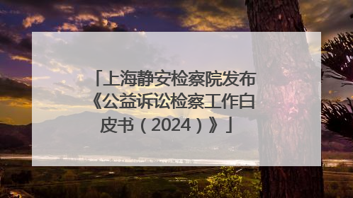 上海静安检察院发布《公益诉讼检察工作白皮书（2024）》