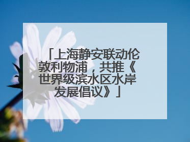 上海静安联动伦敦利物浦，共推《世界级滨水区水岸发展倡议》