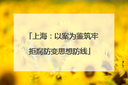 上海：以案为鉴筑牢拒腐防变思想防线