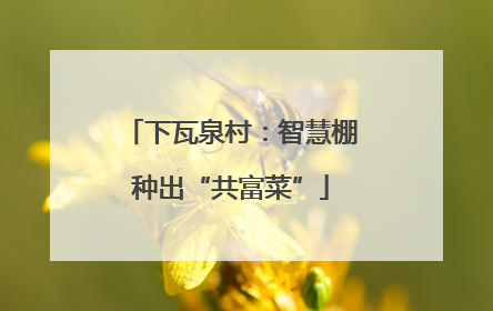 下瓦泉村：智慧棚种出“共富菜”