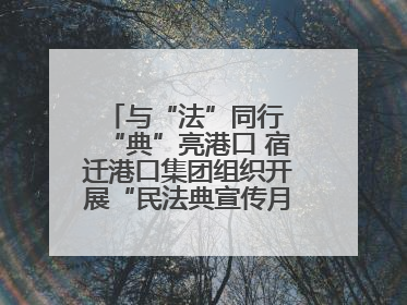 与“法”同行 “典”亮港口 宿迁港口集团组织开展“民法典宣传月”系列活动