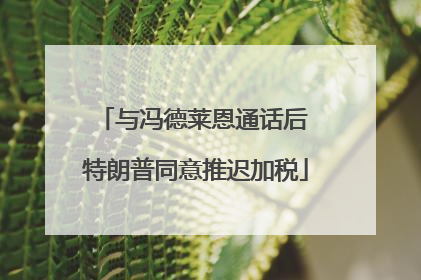 与冯德莱恩通话后 特朗普同意推迟加税
