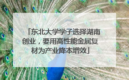 东北大学学子选择湖南创业，要用高性能金属复材为产业降本增效