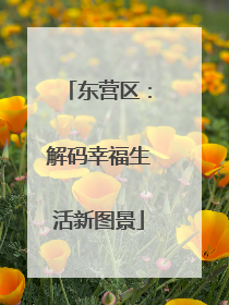 东营区：解码幸福生活新图景