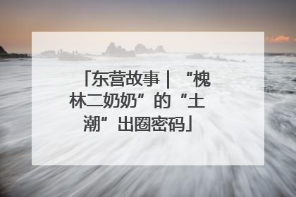 东营故事｜“槐林二奶奶”的“土潮”出圈密码