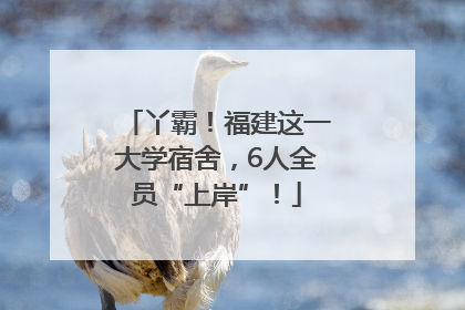 丫霸！福建这一大学宿舍，6人全员“上岸”！