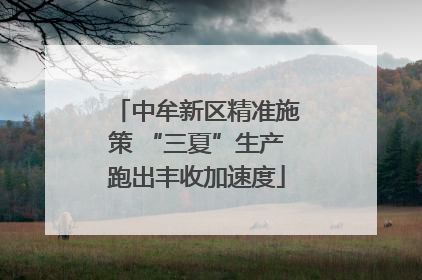 中牟新区精准施策 “三夏”生产跑出丰收加速度
