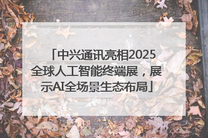 中兴通讯亮相2025全球人工智能终端展，展示AI全场景生态布局