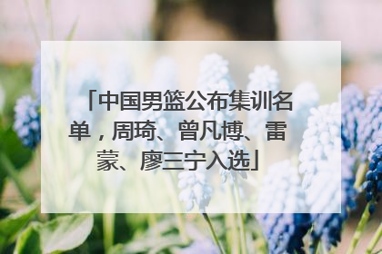 中国男篮公布集训名单，周琦、曾凡博、雷蒙、廖三宁入选