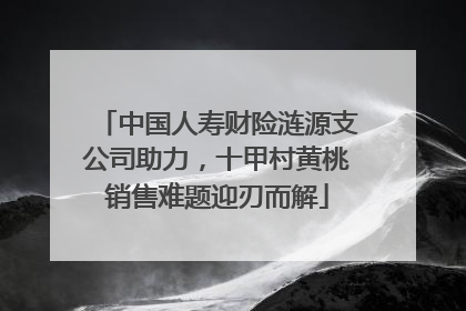 中国人寿财险涟源支公司助力，十甲村黄桃销售难题迎刃而解